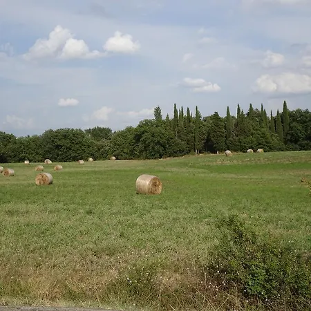 Apartamento Orto Di Cornelio Cincelli