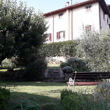 Orto Di Cornelio * Cincelli