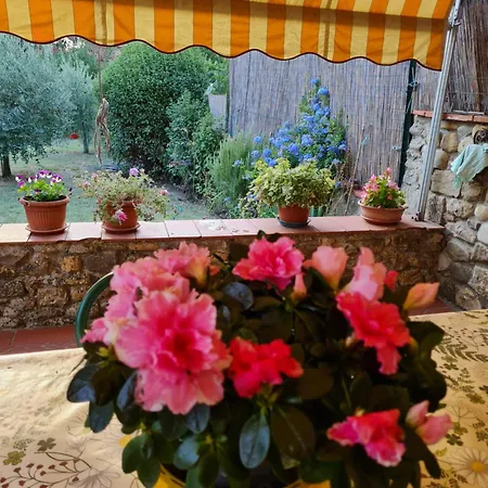 Orto Di Cornelio * Cincelli