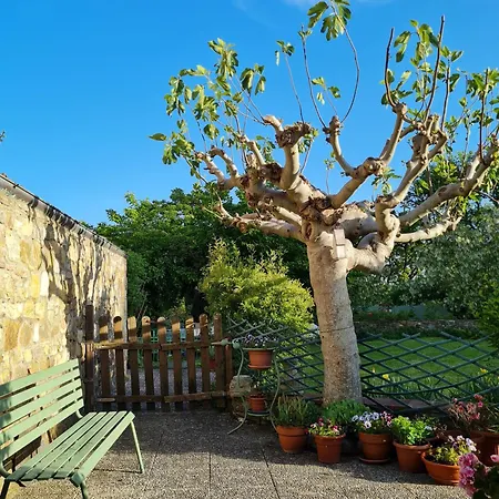 Orto Di Cornelio דירה Cincelli