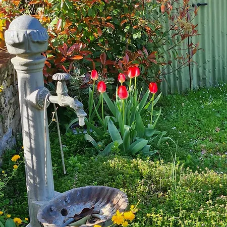 דירה Orto Di Cornelio *