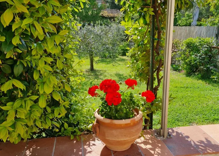 Daire Orto Di Cornelio Cincelli