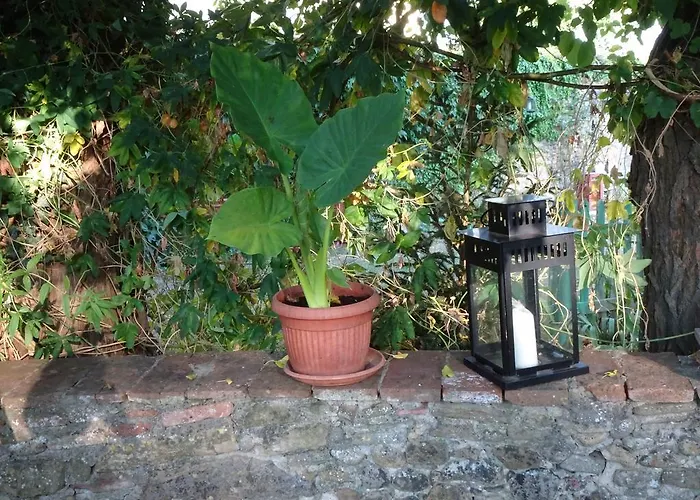 Daire Orto Di Cornelio